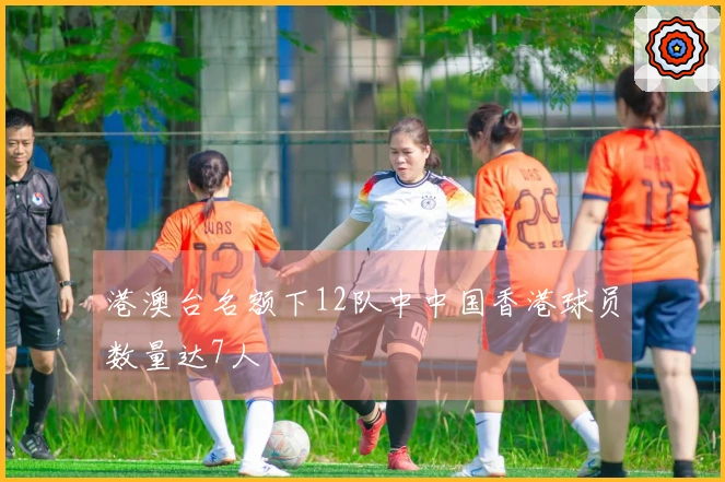 港澳台名额下12队中中国香港球员数量达7人