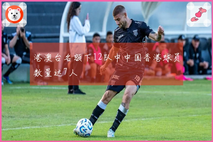 港澳台名额下12队中中国香港球员数量达7人