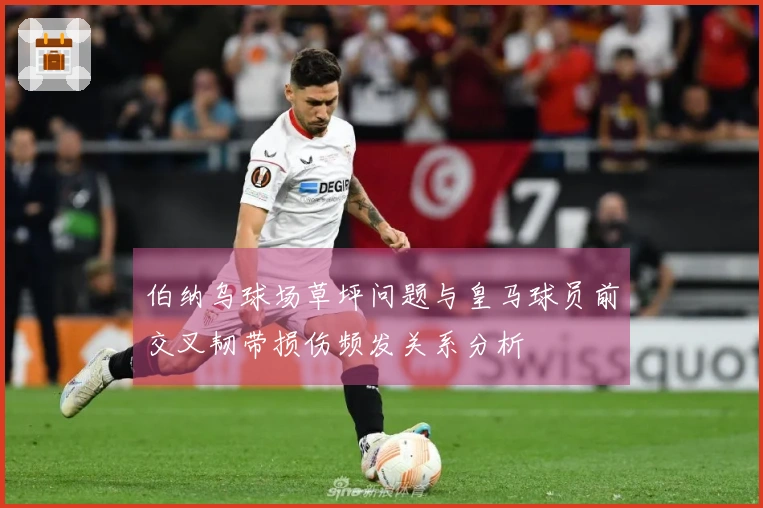 伯纳乌球场草坪问题与皇马球员前交叉韧带损伤频发关系分析