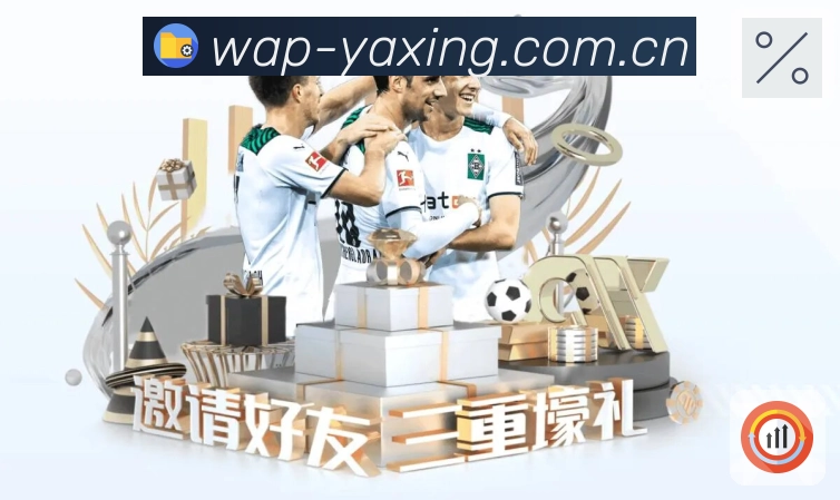 赛事解说与看点